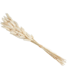 Load image into Gallery viewer, Dried Lagrus Grass
